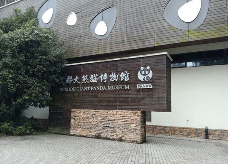 大熊猫博物馆排危修缮项目